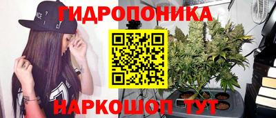 каннабис Будённовск